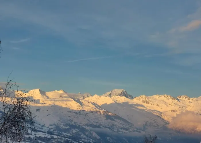 Aux Coches 23m2 6 Personnes 1 La Plagne