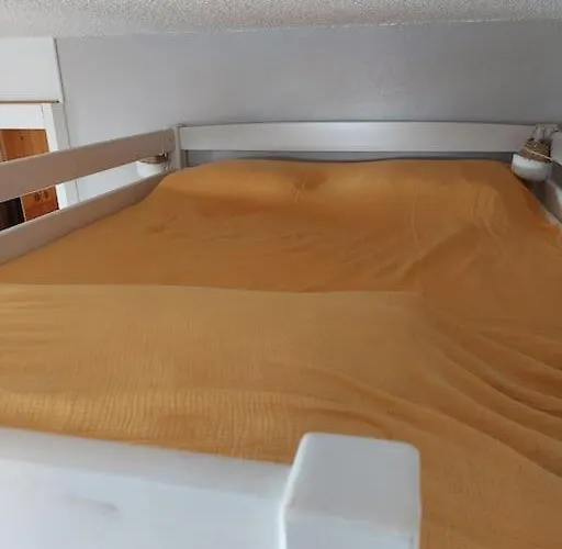 Aux Coches 23m2 6 Personnes 1 * 拉普拉涅