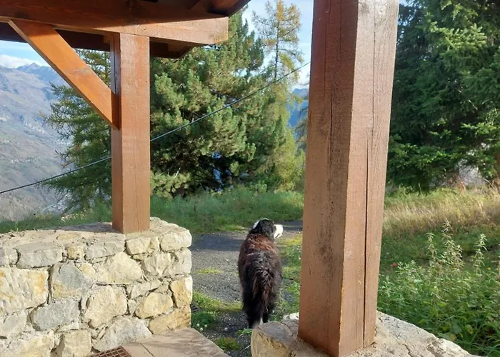 公寓 Aux Coches 23m2 6 Personnes 1 拉普拉涅