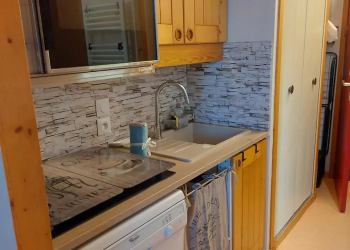 Aux Coches 23m2 6 Personnes 1 公寓 拉普拉涅